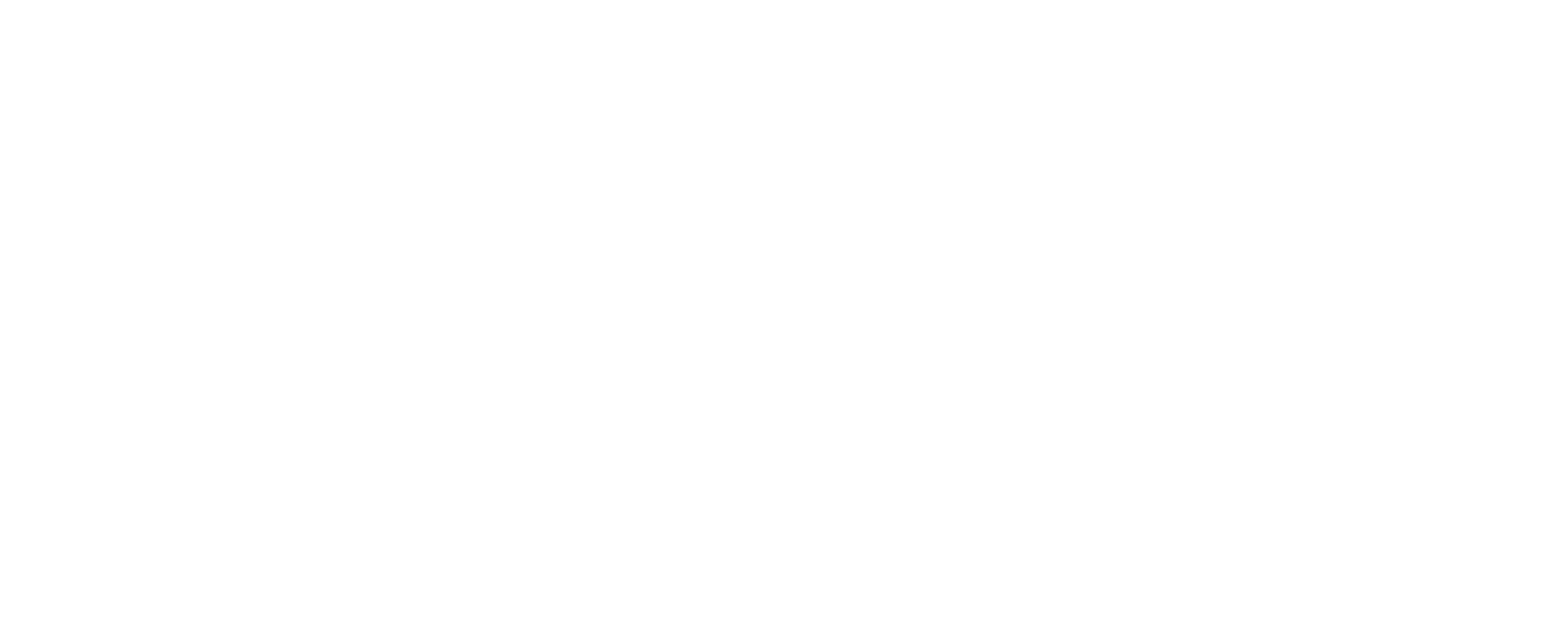 Logo Brasil Júnior